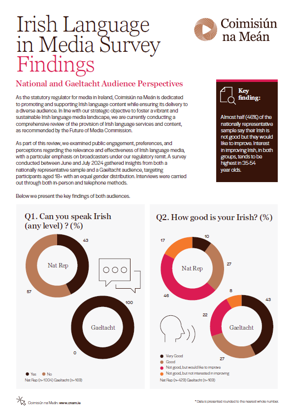 Irish Language in Media - overview