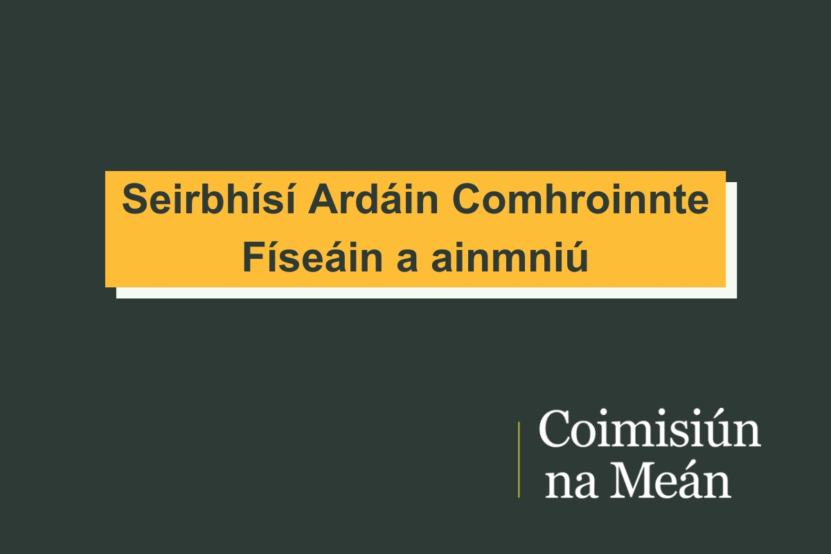 Ainmníonn Coimisiún na Meán Seirbhísí Ardáin Comhroinnte Físeán 