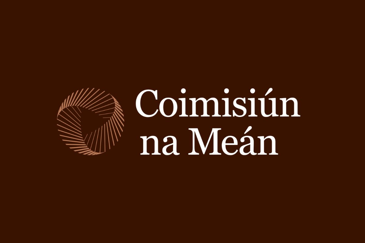 Statement regarding High Court Judgments of 20 June 2024 in Reddit Incorporated and Coimisiún na Meán and Tumblr and Coimisiún na Meán 