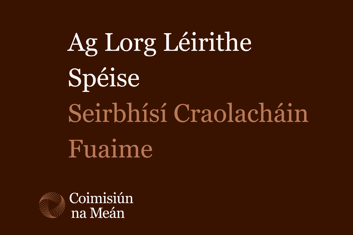 Lorgaíonn Coimisiún na Meán léirithe spéise le haghaidh seirbhísí craolacháin fuaime