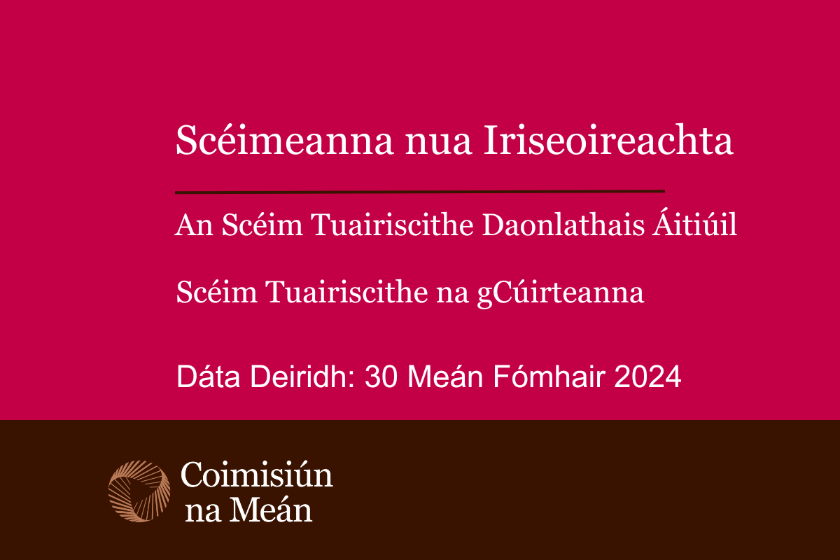 Spriocdháta Sínte – iarratais le haghaidh Scéimeanna nua Iriseoireachta